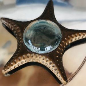 Starfish Magnifier